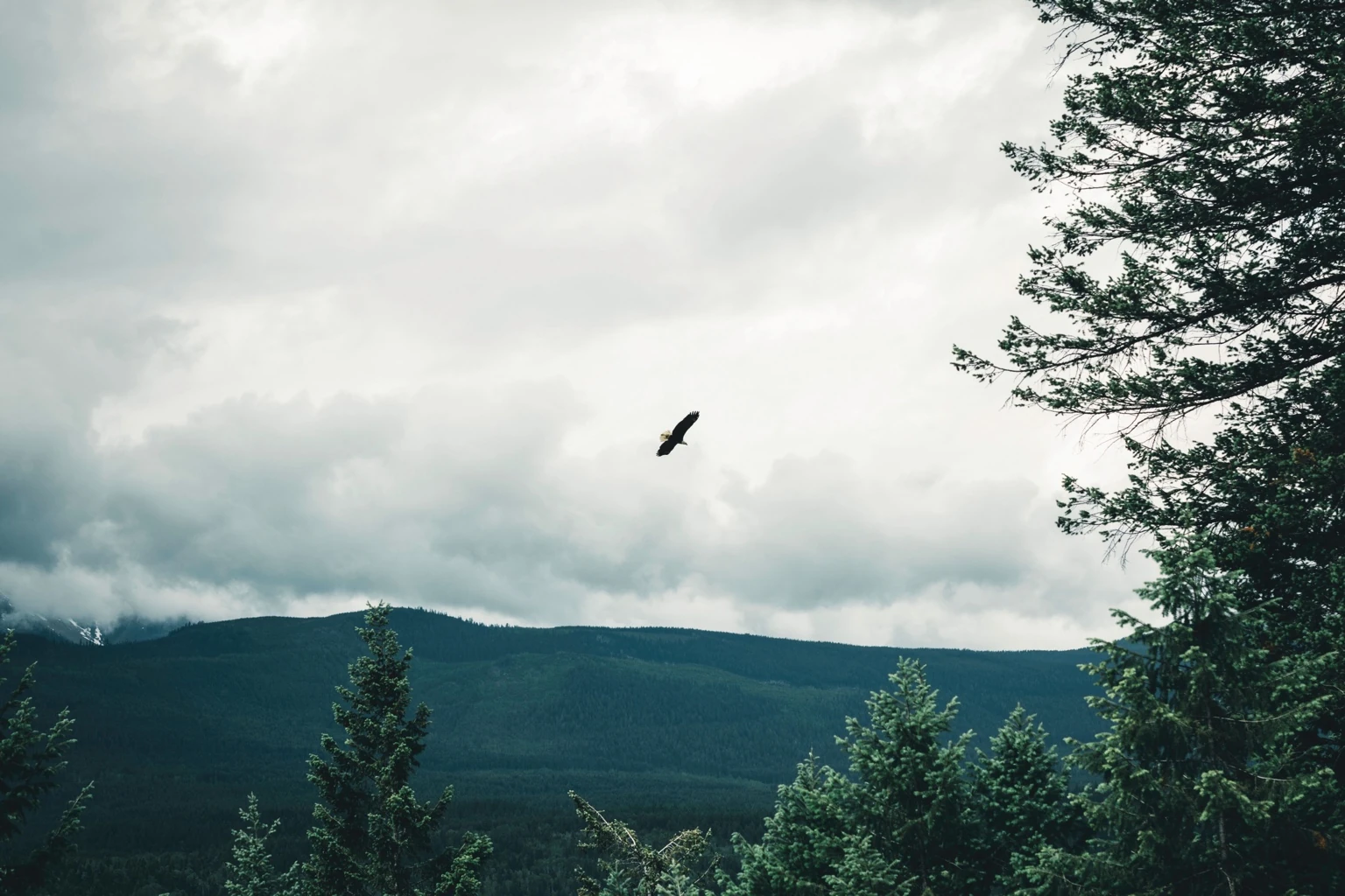 The Enterprise Truth Test - How Do You Determine What Is Actually True About a Company?