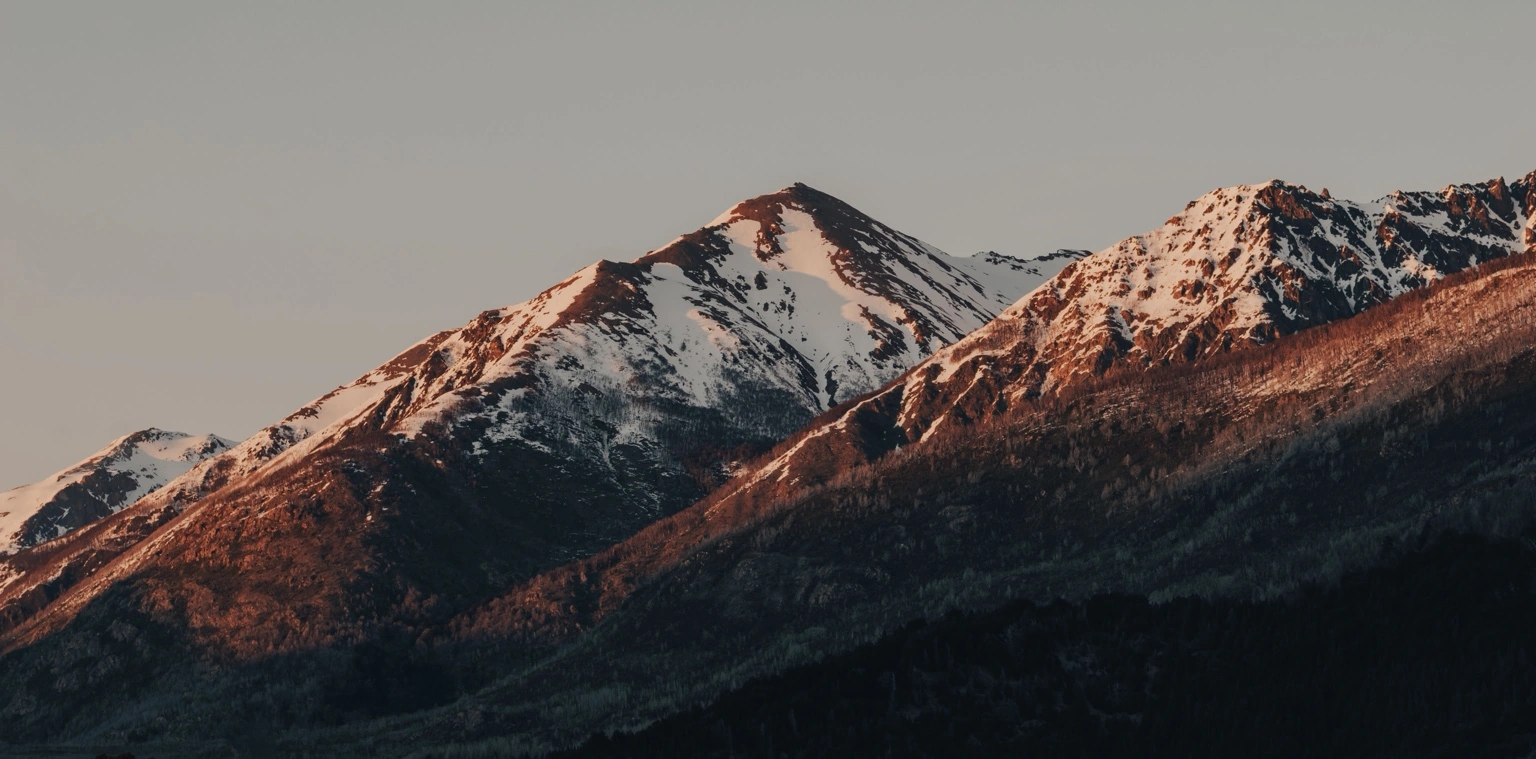 The Recurring Revenue Test: How Much of This Year’s Growth Can Management Reliably Repeat?