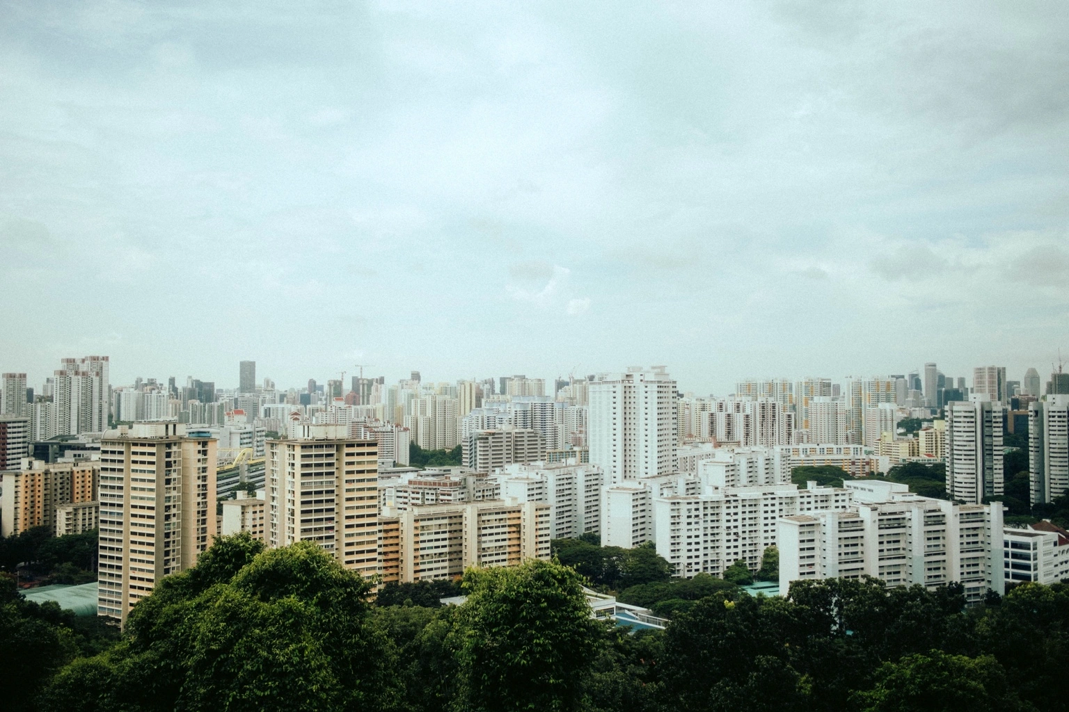 The Money Trail Test: Where Does Borrowed Money Actually Go After Disbursement?